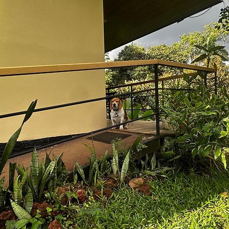 Modern Loft Inside A Beautiful Farm Apartment General Viejo Bagian luar foto