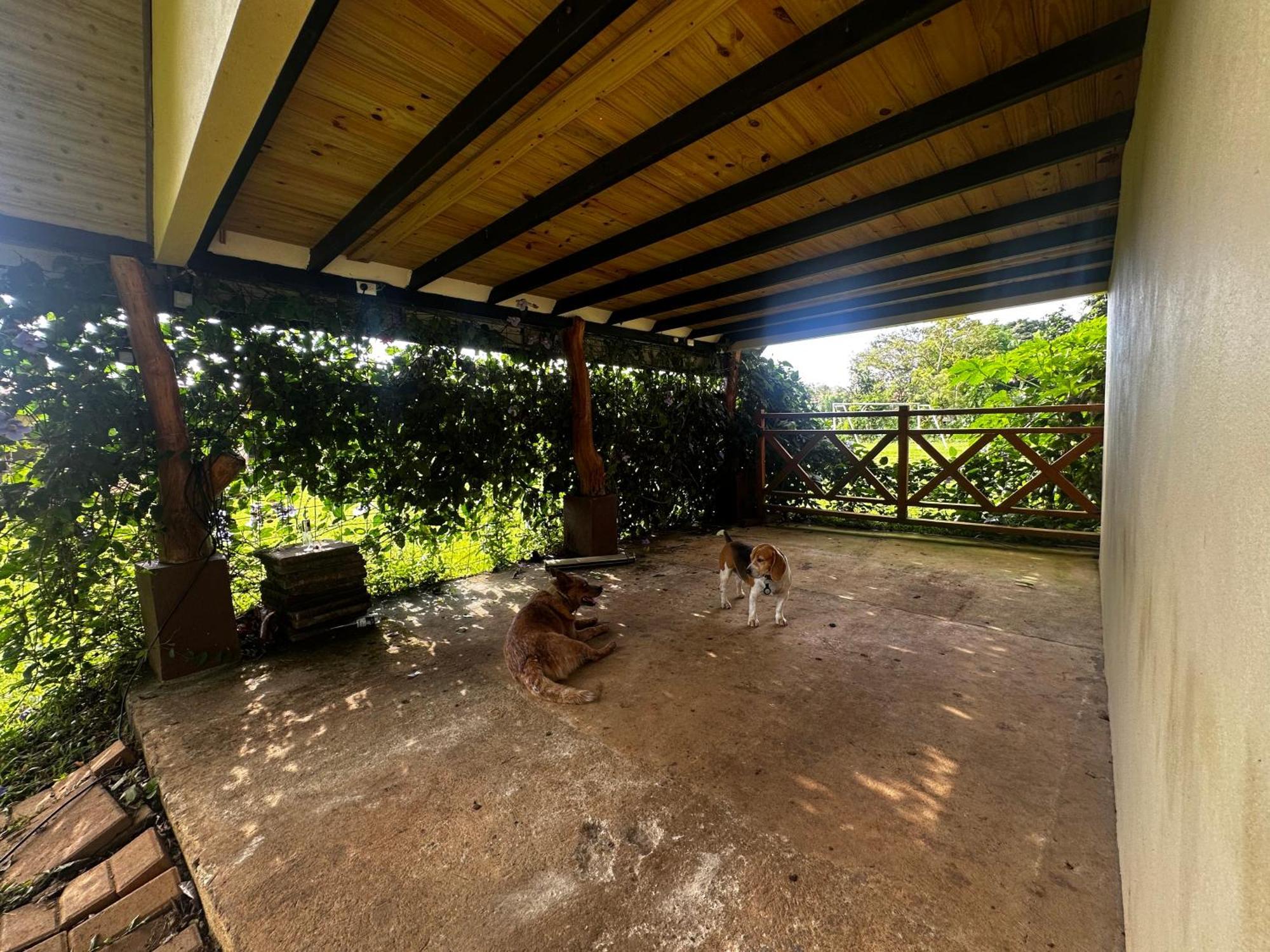 Modern Loft Inside A Beautiful Farm Apartment General Viejo Bagian luar foto